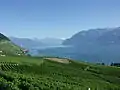 Lavaux e os Alpes