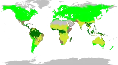 Distribuição natural das Fabaceae. As leguminosas estão presentes nos quatro maiores biomas: floresta tropical, temperados, pradarias e suculentas.