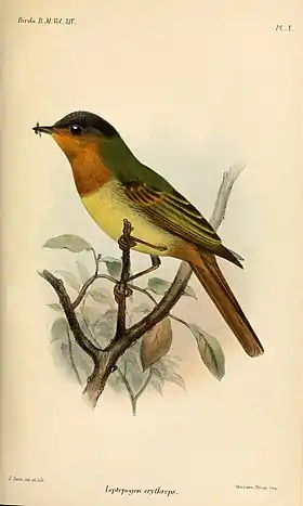 Ilustração de Joseph Smit, 1888