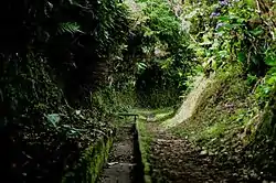 Levada
