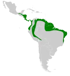 Distribuição de Lichonycteris obscura na América Central e América do Sul