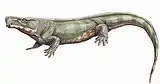 Limnoscelis