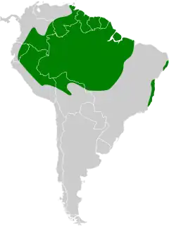 Distribuição do cricrió-seringueiro