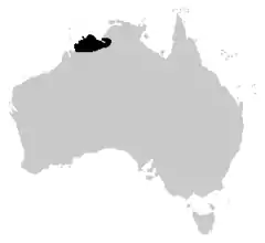 Distribuição de Litoria splendida