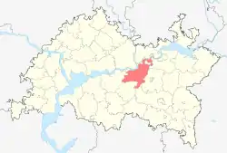 Localização do distrito de Nizhnekamsky no Tartaristão