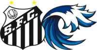 Santos Futebol Clube Parceiro E Dono Do Clube
