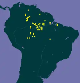 Mapa de distribuição da L. longifolia com zoom na América do Sul.
