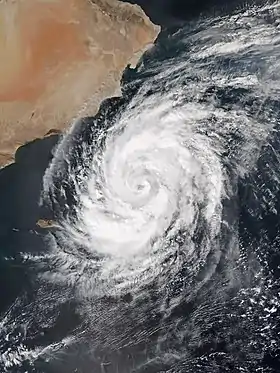 imagem ilustrativa de artigo Ciclone Luban