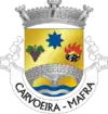 Brasão de armas de Carvoeira