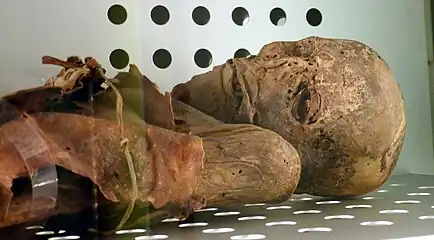 Múmia de San Andrés (Museu da Natureza e do Homem, Santa Cruz de Tenerife)