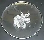 Aparência macroscópica