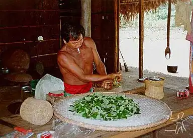 Indígena Hupdá preparando ipadu.