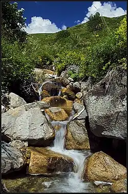 Horizonte de Racha-Lechumi e Suanécia Inferior