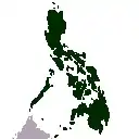 O holótipo de E. enigmaticum foi coletado em Mindanau, a maior ilha ao sul das Filipinas.