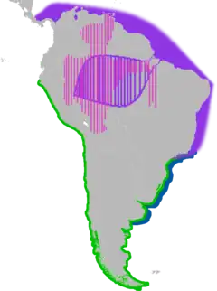 * Em rosa , a região do boto-cor-de-rosa
* Em roxo , a região do boto-cinza
* Em azul , a região do golfinho-do-rio-da-prata
* Em verde , a região de Phocoena spinipinnis