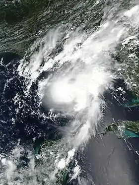 imagem ilustrativa de artigo Furacão Marco (2020)