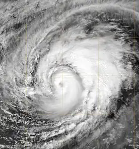 imagem ilustrativa de artigo Furacão Marie (2008)