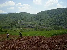 Vue de Marina Kutina