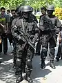 A UNGERIN, a polícia anti-terror