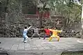Aula de Taiji Quan estilo Chen no "Fragrant Hills Park", Beijing, China.