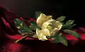 Magnolia (pintura de Martin Johnson Heade).