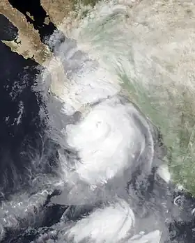 imagem ilustrativa de artigo Furacão Marty (2003)