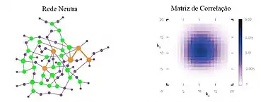 Matriz de correlação de graus de uma rede neutra