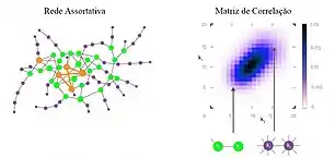 Matriz de correlação de graus de uma rede assortativa