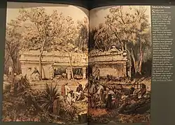 Dado colorido com pano de fundo branco