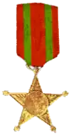 Medalha feridos em campanha.png