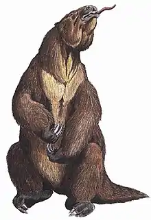 Megatherium americanum, um mamífero xenartro