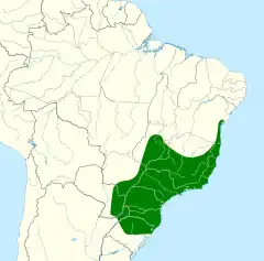 Distribuição do benedito-de-testa-amarela