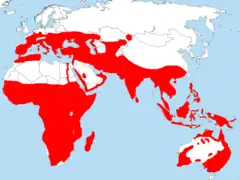 Área aproximada na qualas espécies de abelharuco regularmente se reproduzem.