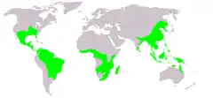 Distribuição (a verde)