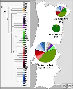 Distribuição dos haplogrupos de DNA mitocondrial dos sefarditas portugueses e da população portuguesa não-judia