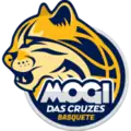 Mogi das Cruzes logo