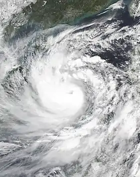 imagem ilustrativa de artigo Tufão Molave