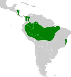 Distribuição do chora-chuva-de-cara-branca na América Central e América do Sul