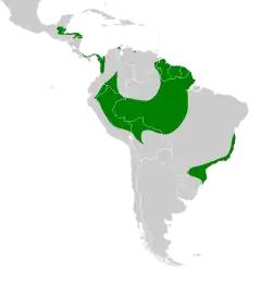 Distribuição do uiraçu-falso