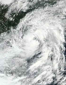 imagem ilustrativa de artigo Tempestade tropical Nangka (2020)