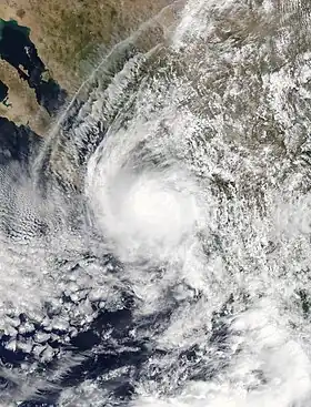 imagem ilustrativa de artigo Tempestade tropical Narda (2019)