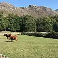 Paisagem de Porta de Lamas de Mouro (Parque Nacional da Peneda-Gerês)
