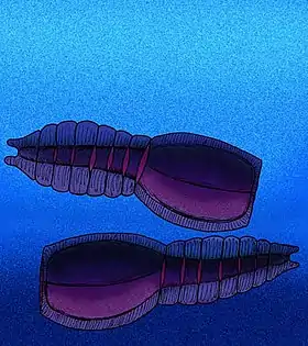 Reconstrução artística de um exemplar vivo