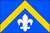 Bandeira de Nižní Lhoty