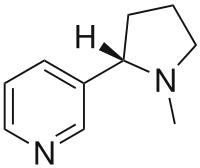 Nicotina