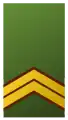 Exército dos Países Baixos:Sergeant-majoor