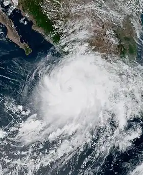 imagem ilustrativa de artigo Furacão Nora (2021)