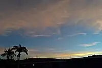 Cirros ao final da tarde