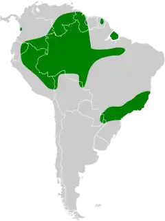 Distribuição do urutau-pardo na América do Sul