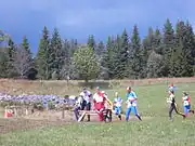 Contrôle na etapa 3